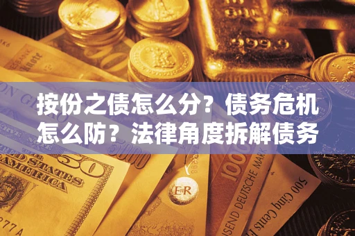 武汉按份之债怎么分？债务危机怎么防？法律角度拆解债务分配与风险自保指南