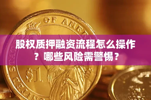 武汉股权质押融资流程怎么操作？哪些风险需警惕？