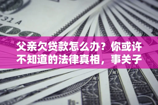 武汉父亲欠贷款怎么办？你或许不知道的法律真相，事关子女未来