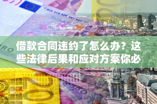 武汉借款合同违约了怎么办？这些法律后果和应对方案你必须知道