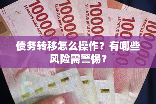 武汉债务转移怎么操作？有哪些风险需警惕？