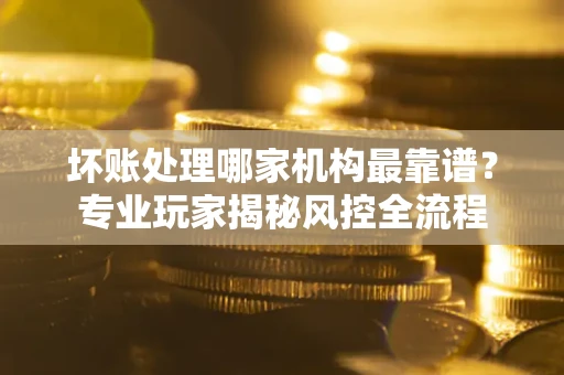 武汉坏账处理哪家机构最靠谱？专业玩家揭秘风控全流程