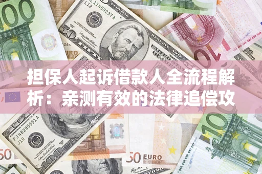 武汉担保人起诉借款人全流程解析：亲测有效的法律追偿攻略