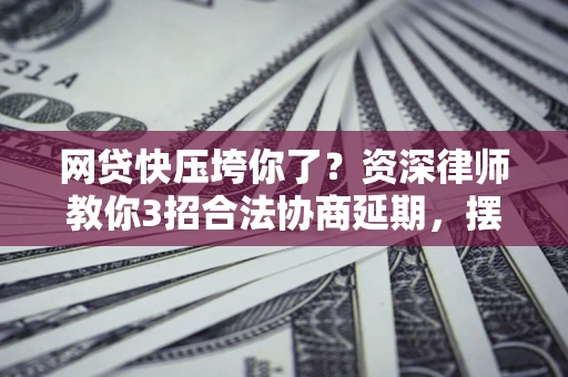武汉网贷快压垮你了？资深律师教你3招合法协商延期，摆脱暴力催收！