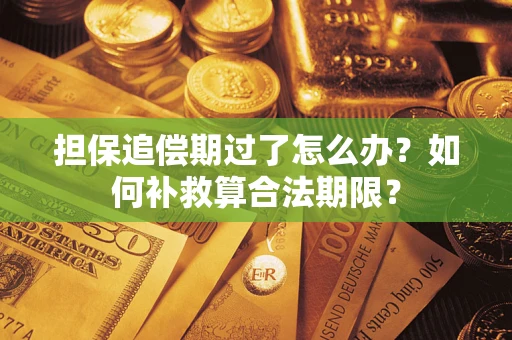 武汉担保追偿期过了怎么办？如何补救算合法期限？