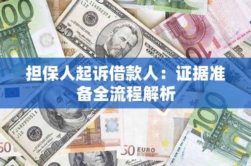 武汉担保人起诉借款人：证据准备全流程解析
