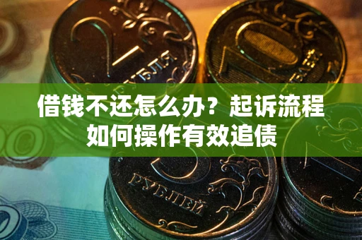 武汉借钱不还怎么办？起诉流程如何操作有效追债