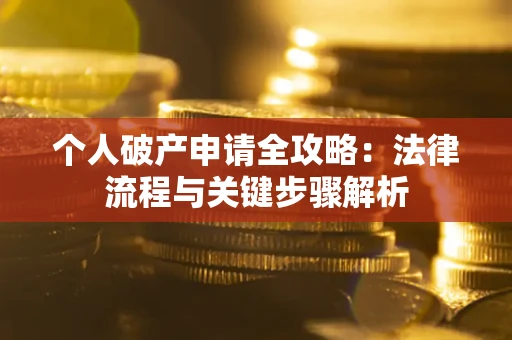武汉个人破产申请全攻略：法律流程与关键步骤解析