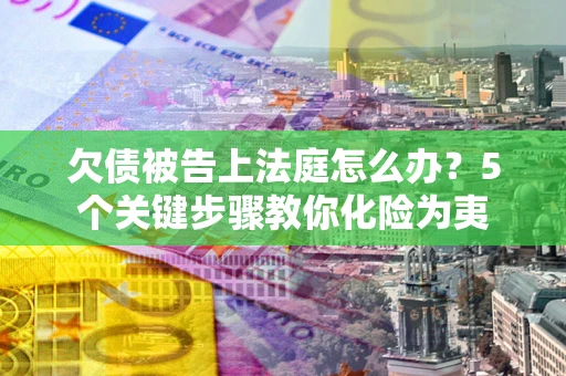 武汉欠债被告上法庭怎么办？5个关键步骤教你化险为夷