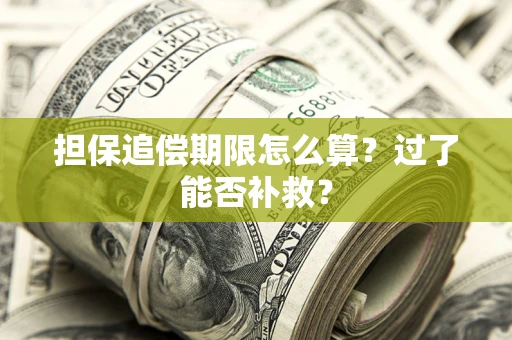 武汉担保追偿期限怎么算？过了能否补救？